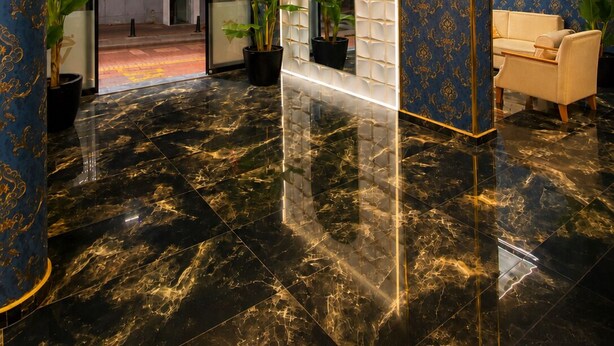 Un vestíbulo lujoso con suelo de mármol, un candelabro, un sofá y plantas en macetas.