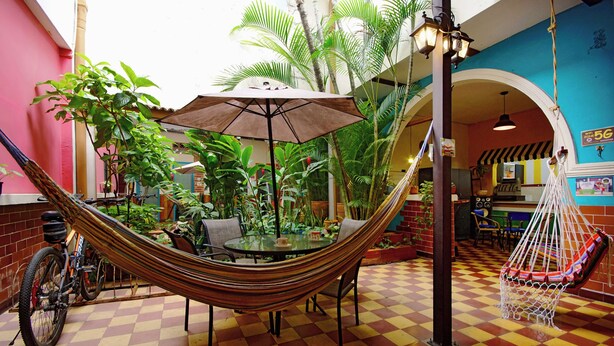 A hammock chair with a table and umbrella, surrounded by plants, in a room with a checkered floor and a blue wall. - Ding-Dong Hostel (Cali)