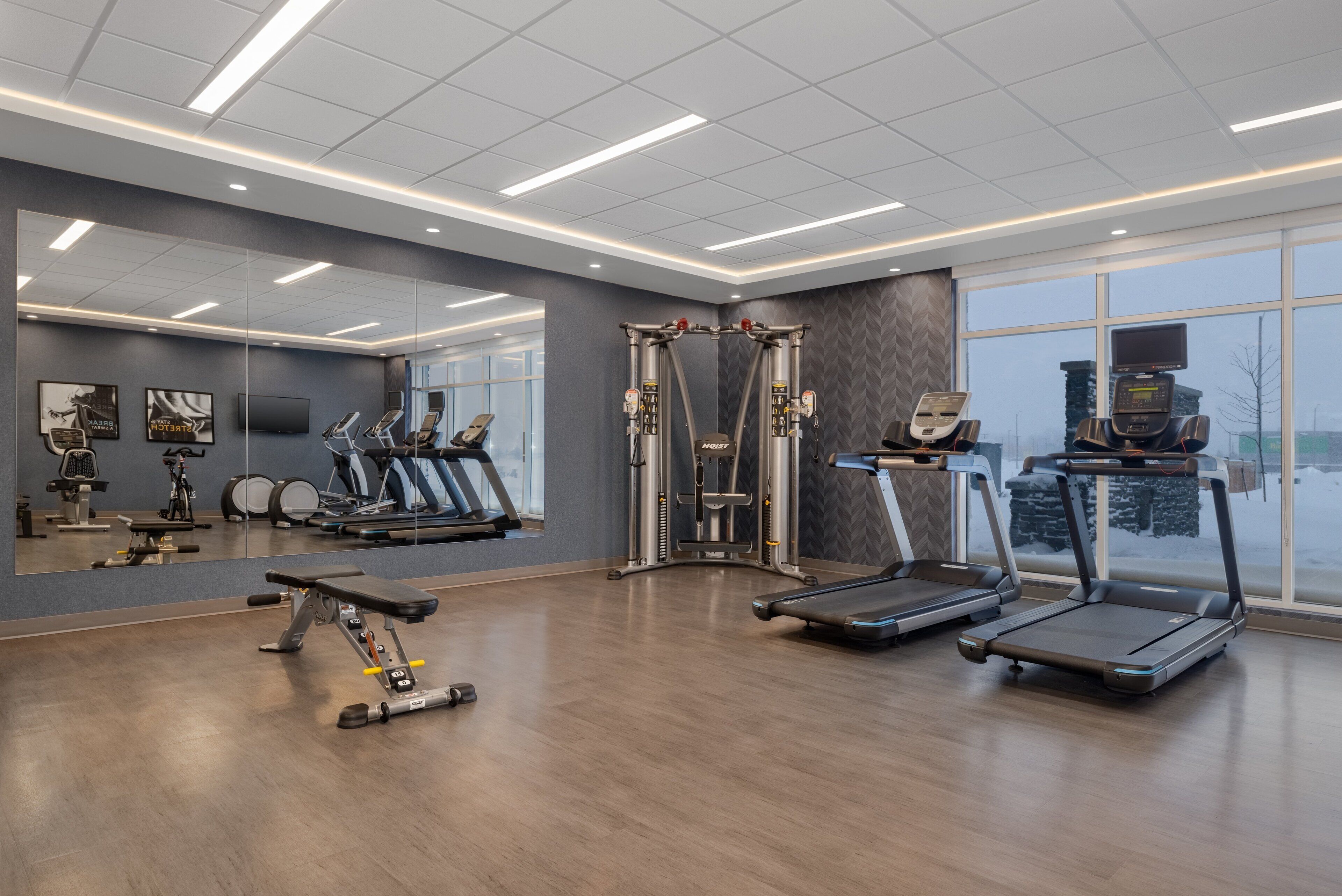 A modern gym with treadmills, a weight bench, and a mirror wall.