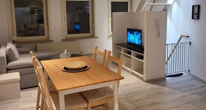 Appartement 1 Chambre