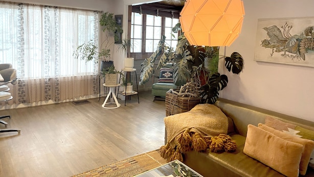 A living room with a sofa, a coffee table, and a chair. There are plants, a painting on the wall, and a window with curtains. - Dog-Friendly Home - 1.5 Miles from Red Rocks Amphitheater (Morrison)