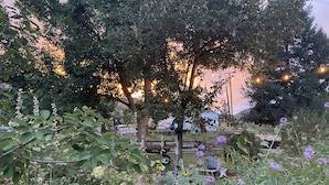 A garden with various plants and flowers, a wooden bench, and string lights. - Dog-Friendly Home - 1.5 Miles from Red Rocks Amphitheater (Morrison)