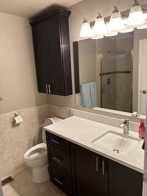 Bathroom features a large mirror, glass door shower, handheld showerhead, toilet, and sink.