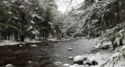 The River Pines, Near Snowmobile Trails