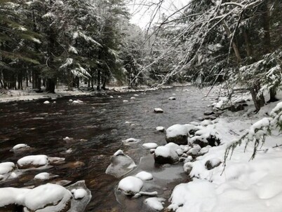 The River Pines, Near Snowmobile Trails 