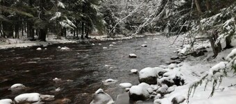 The River Pines, Near Snowmobile Trails