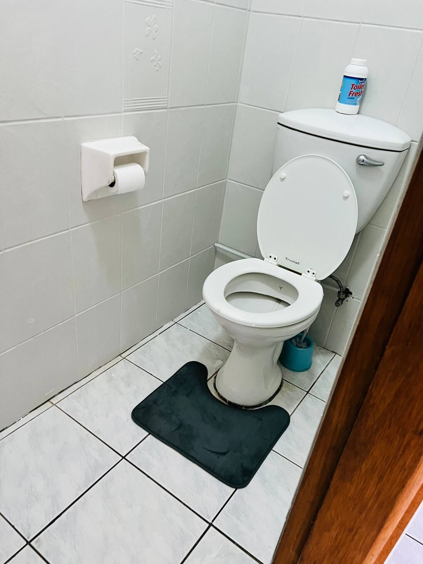 Un inodoro con tapa y asiento blancos, un dispensador de papel higiénico en la pared y un cubo azul de limpieza en el suelo.