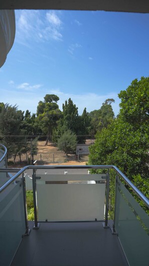 Yhden hengen deluxe-huone | Terassi/patio