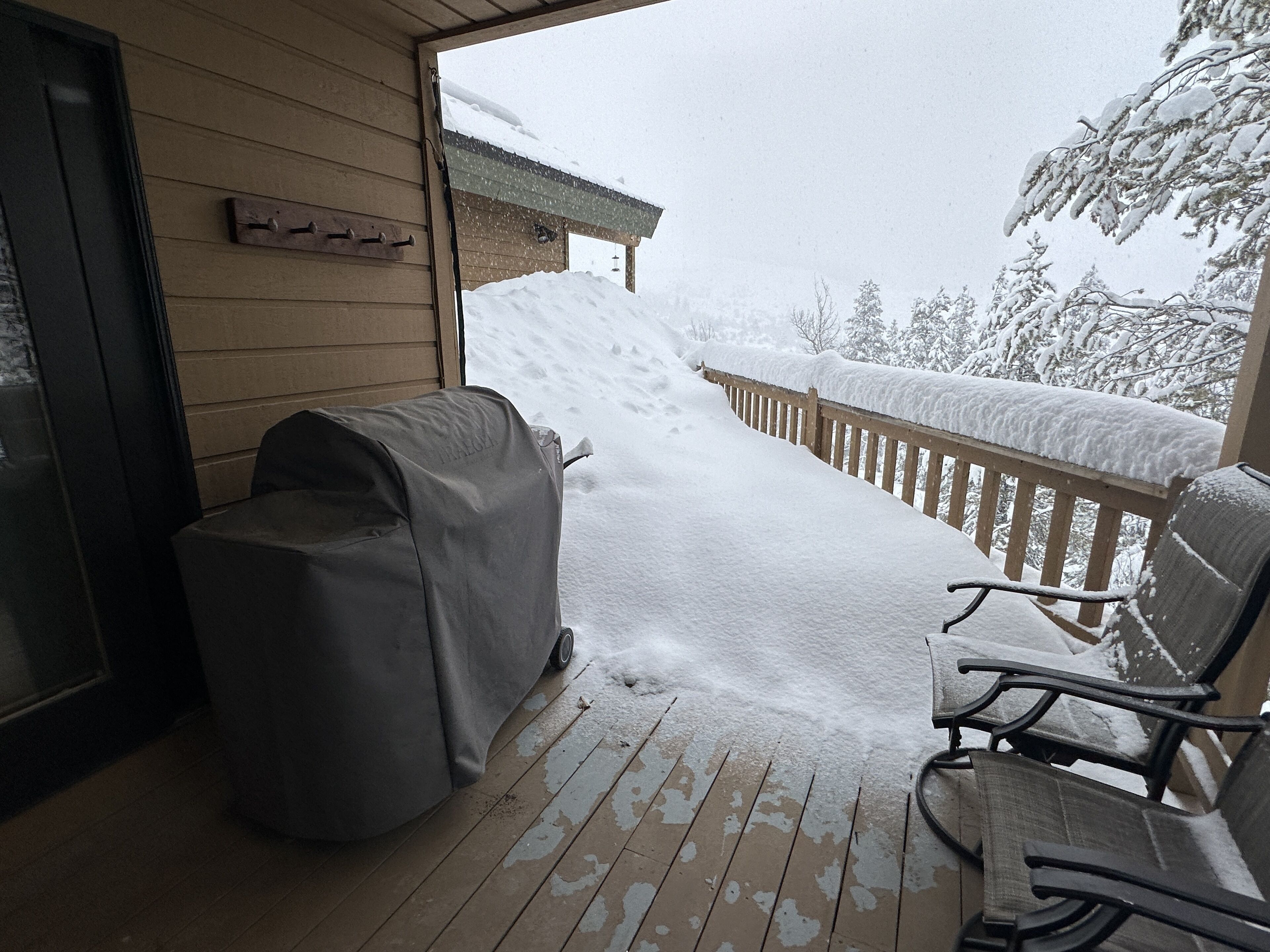 Traeger grill