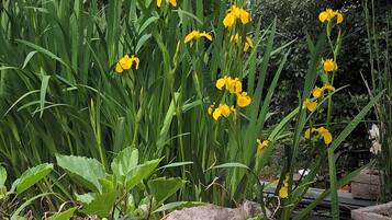 DĂ©tail de lâextĂ©rieur