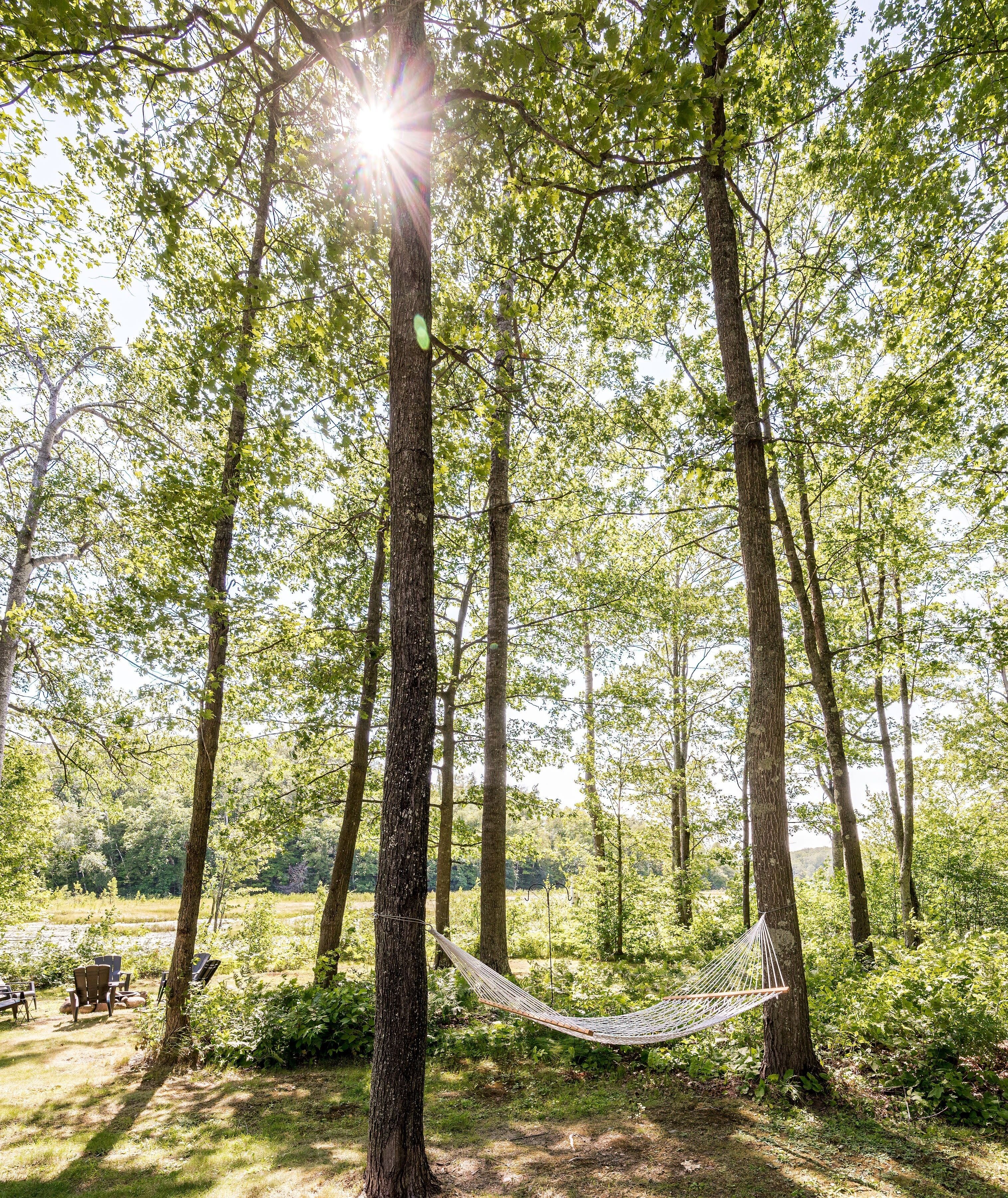 Hammock