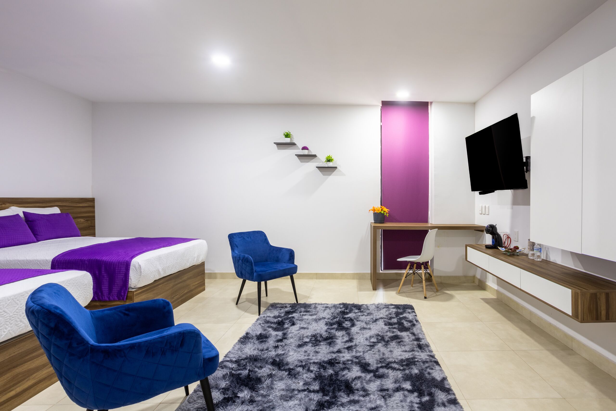 A modern bedroom with a bed, two blue chairs, a desk, a TV, and a small shelf with plants.