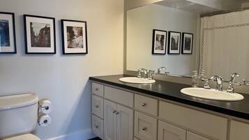 Hair dryer, soap, toilet paper