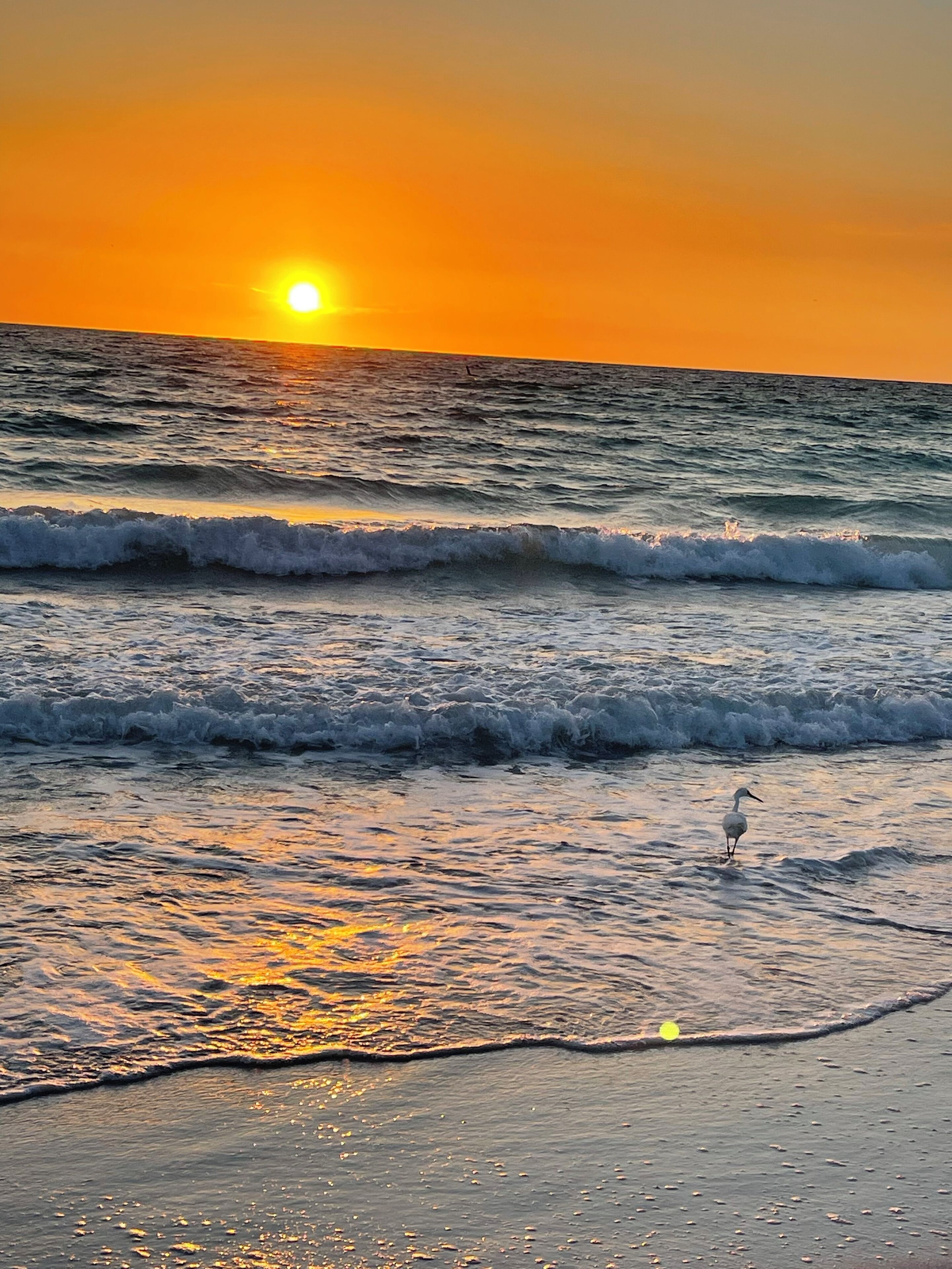 Lettini da mare, teli da spiaggia