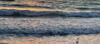 Dogs and cats friendly renovated duplex 5 min drive from the beach