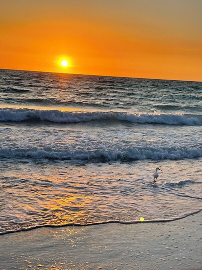 Dogs and cats friendly renovated duplex 5 min drive from the beach