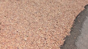 A gravel driveway leading to a house with a fenced yard.