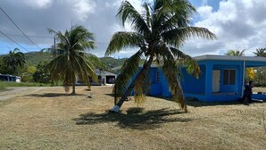 Entorno rural con un edificio azul, palmeras y cielo despejado.
