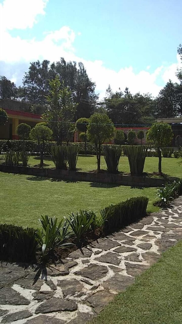 A well-maintained garden with neatly trimmed hedges and a stone pathway.