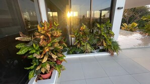 Ein modernes Gebäude mit großen Glasüren und einer gefliesten Terrasse.