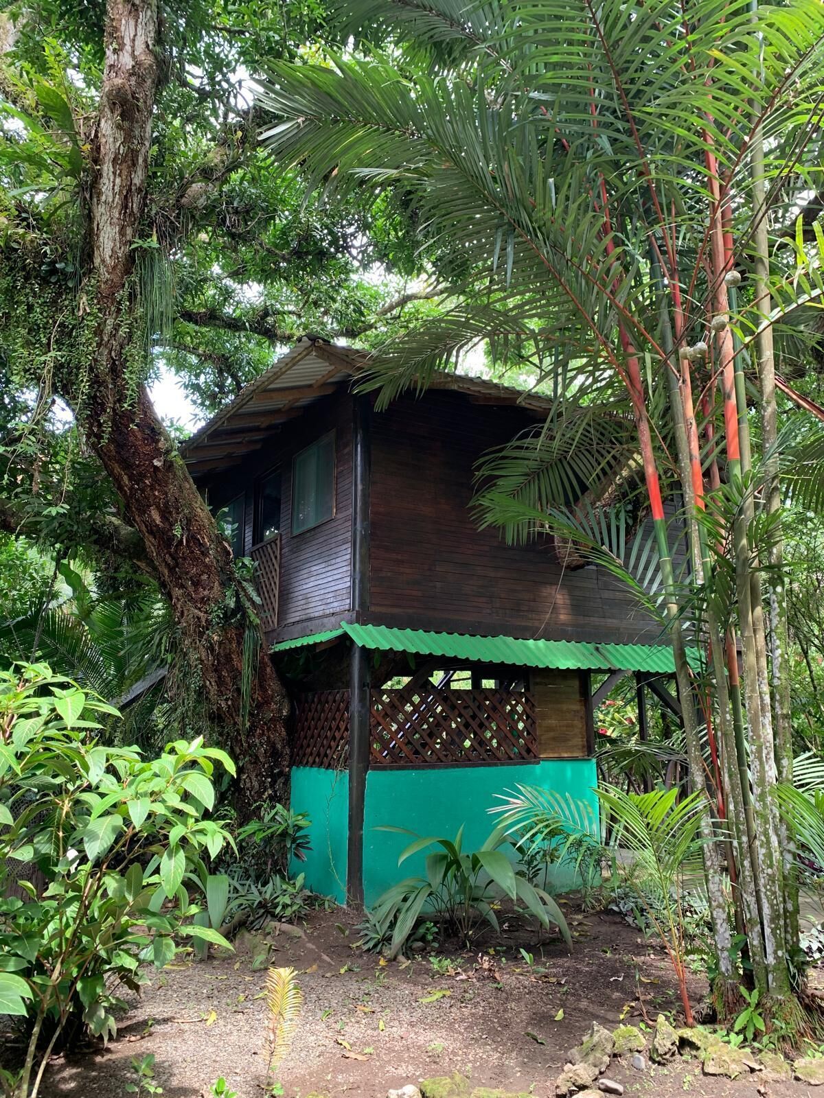 Photo - Playa Grande Lodge & Tree House