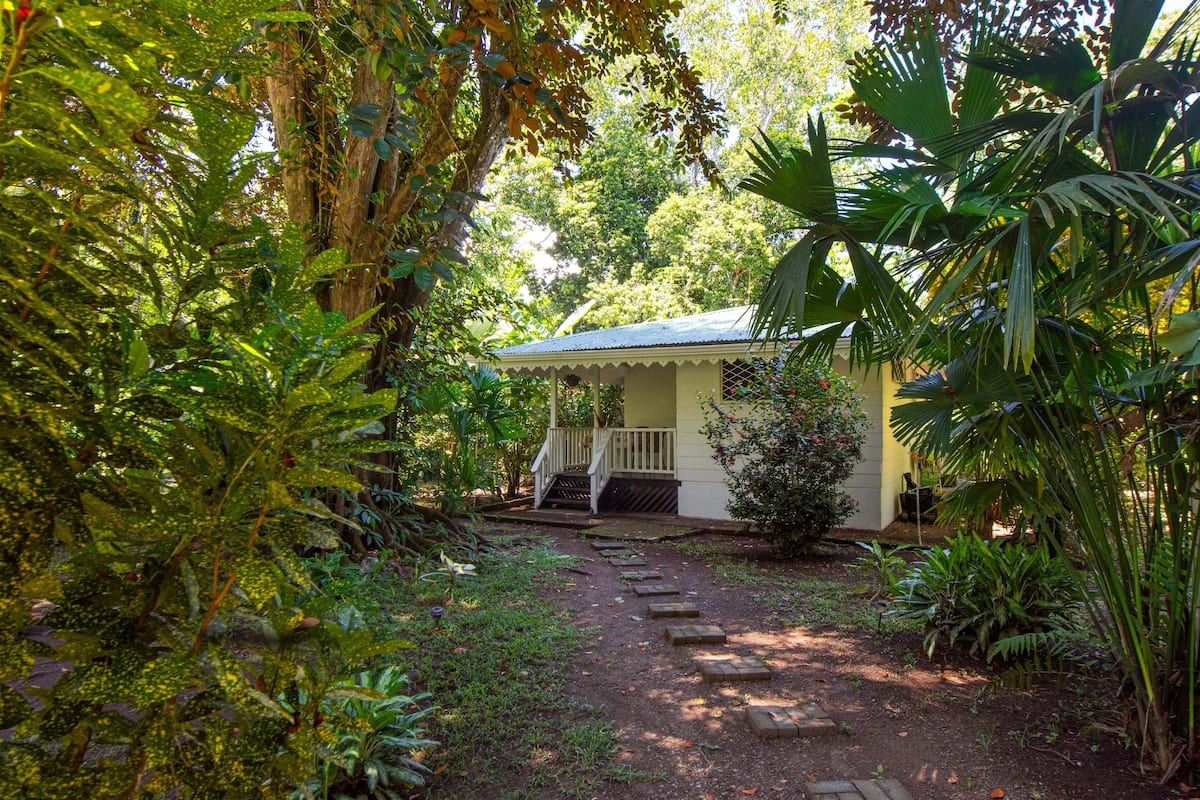 A pathway leading to a house surrounded by lush greenery.