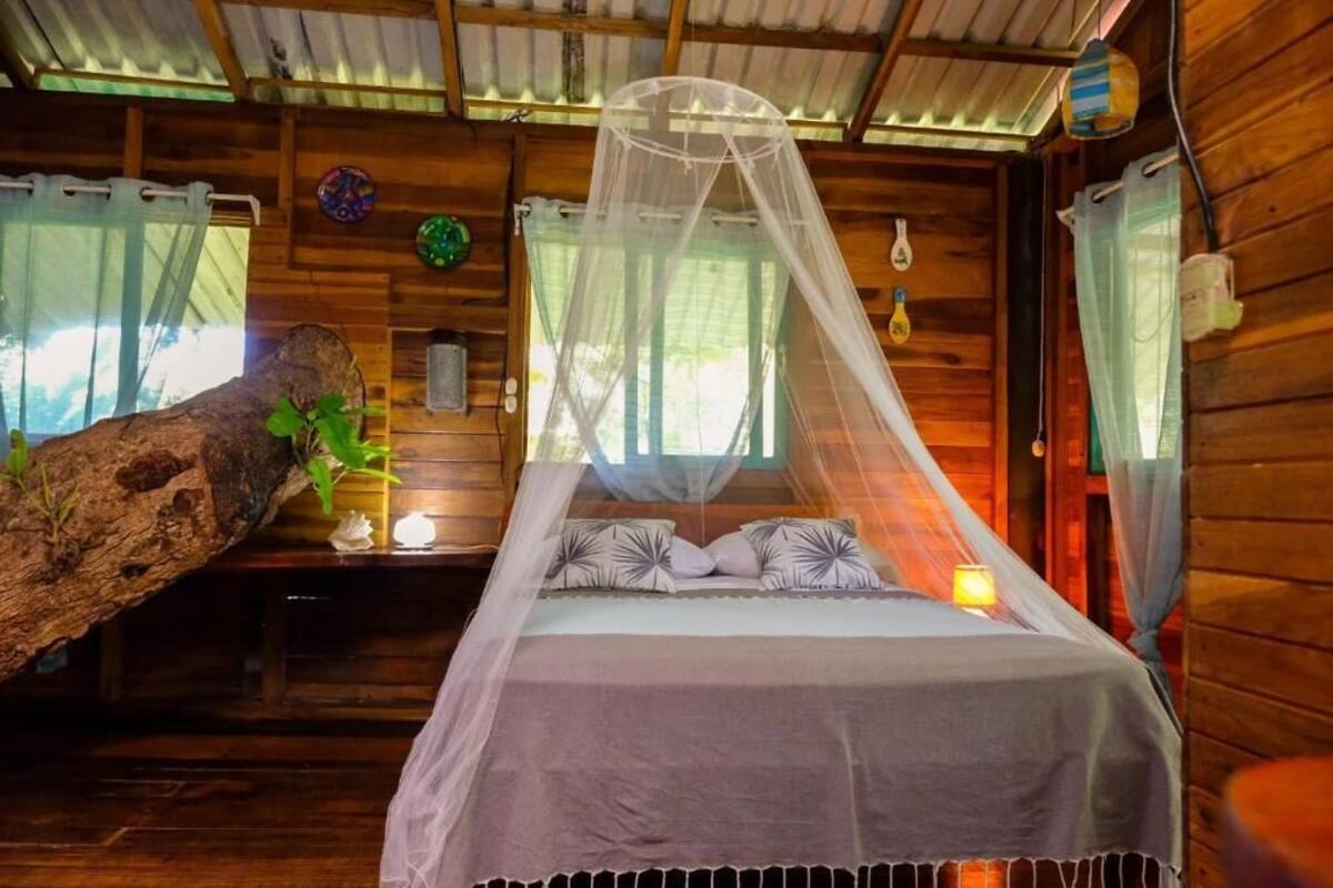 A wooden cabin room with a bed under a mosquito net, a nightstand with a lamp, and a large tree branch as a wall.