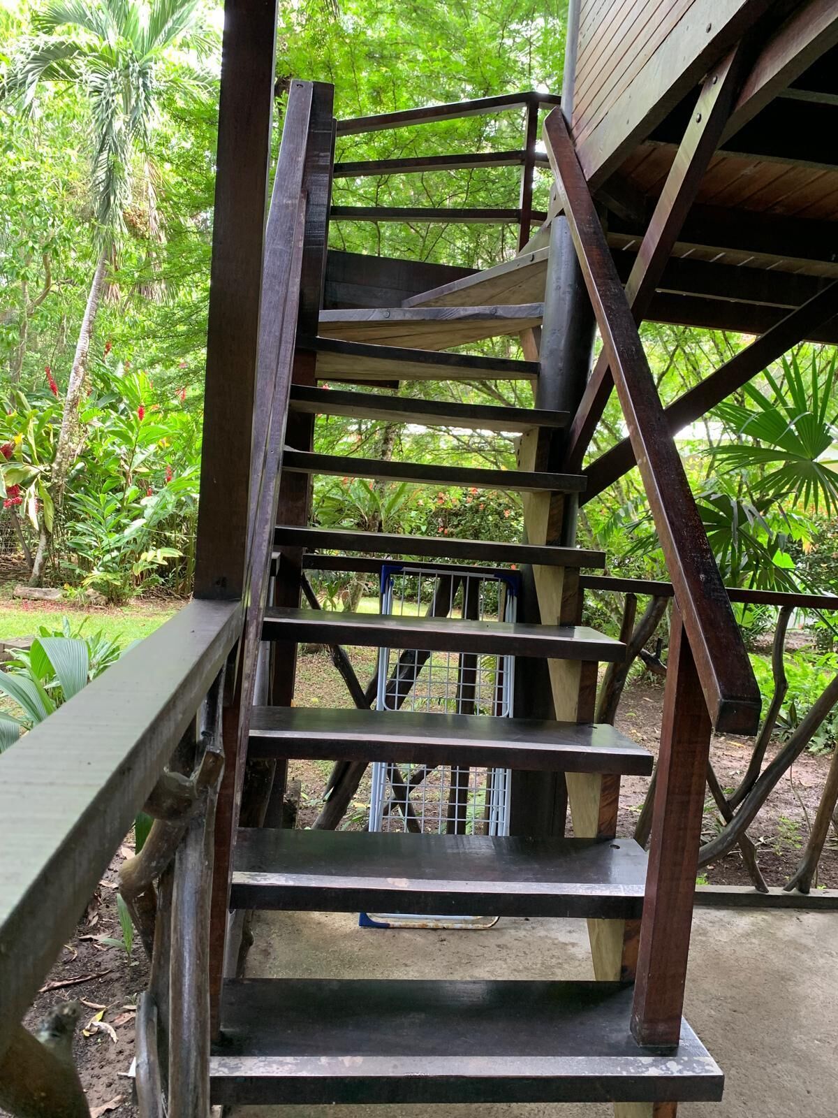 Photo - Playa Grande Lodge & Tree House