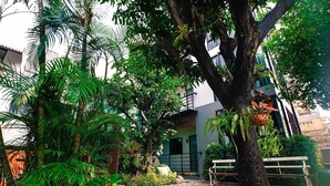 A courtyard with a variety of plants, a tree with hanging planters, and a bench. - Bed Garden 26 (Bangkok)