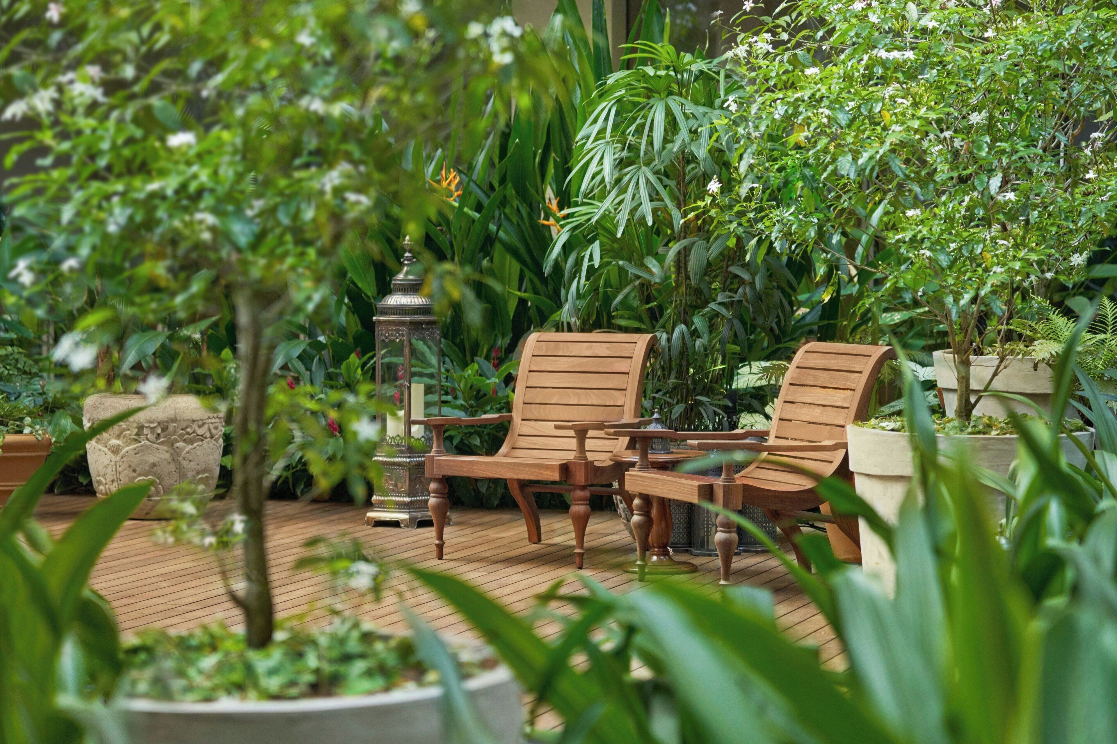 Une terrasse en bois avec deux chaises et une table en bois, entourée d’une végétation luxuriante et de plantes en pot.
