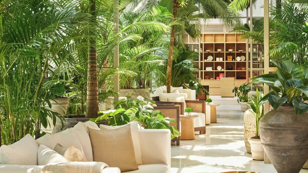 A lush indoor garden with a white sofa, a large planter, and a wooden bookshelf. - The Singapore EDITION (Singapore)
