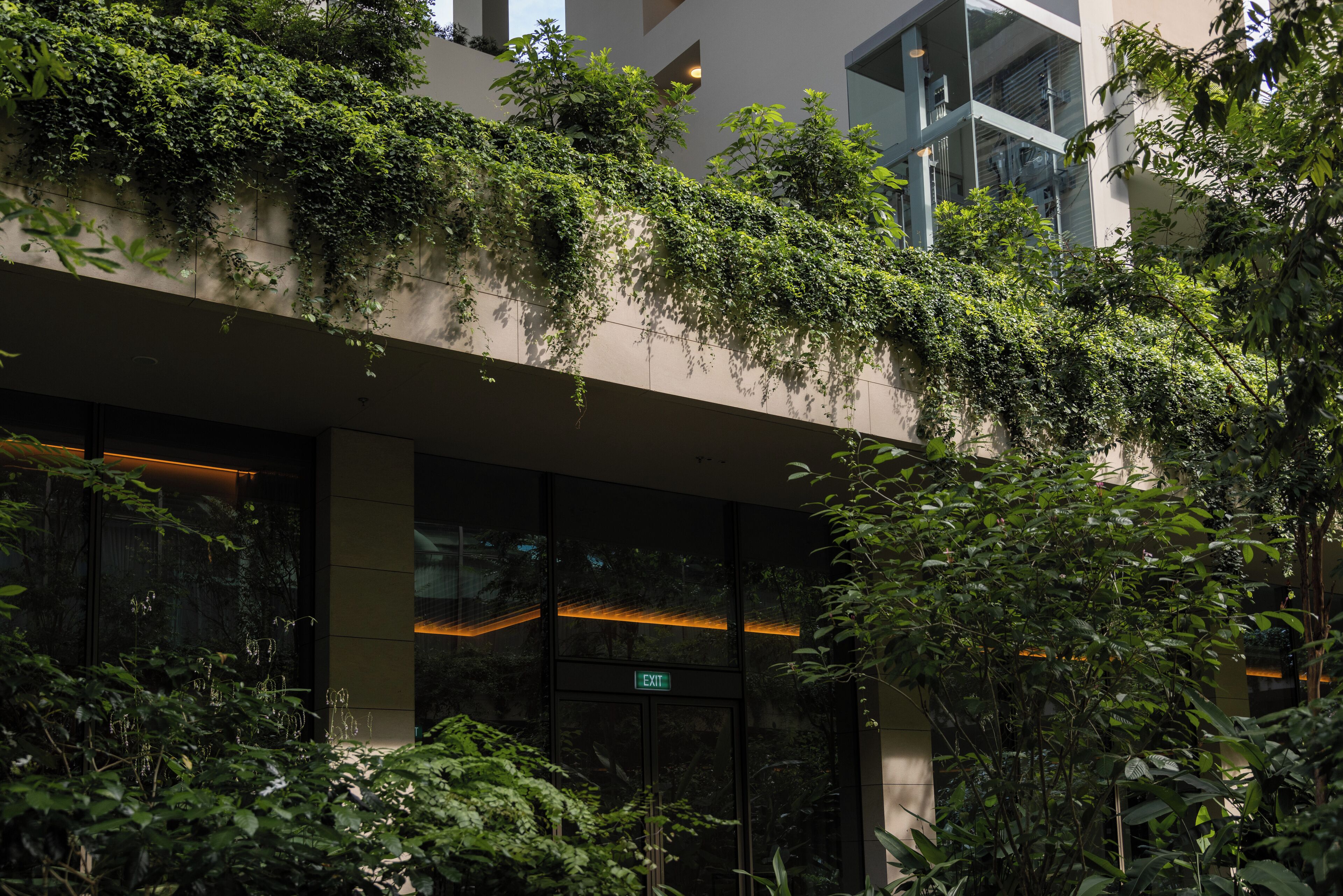 Photo - The Singapore EDITION