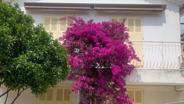 Ein zweistöckiges Gebäude mit einem Balkon, einem Garten mit rosa Bougainvillea und einem Tisch mit Stühlen davor.
