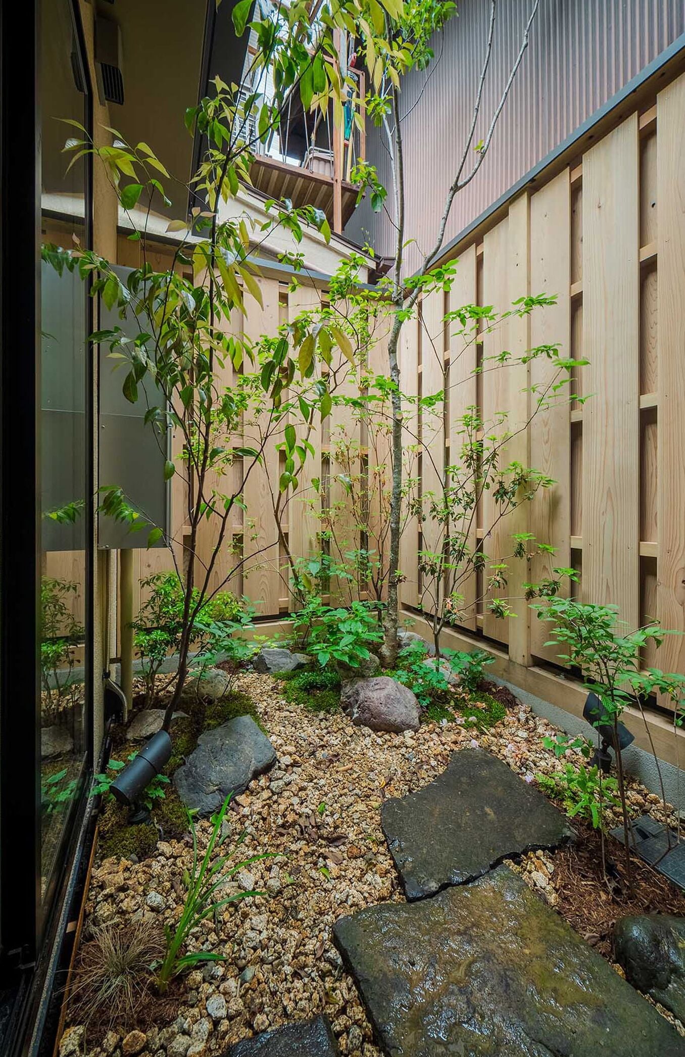A traditional Japanese garden with a wooden fence, stepping stones, and small trees.