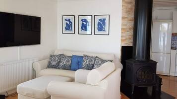 TV connectée, cheminée, livres
