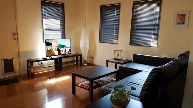 Ein Wohnzimmer mit einer Couch, einem Couchtisch und einem Fernseher. Es gibt drei Fenster mit Jalousien, ein gerahmtes Bild an der Wand und eine Pflanze auf dem Couchtisch.