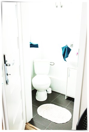 Hair dryer, towels, soap, toilet paper