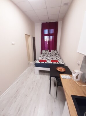 1 bedroom, iron/ironing board, WiFi, bed sheets - SouvenirAppart Sienkiewicza 3F (Bydgoszcz)