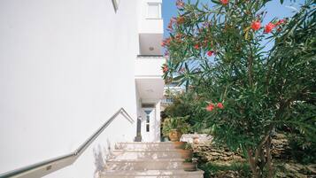 Un edificio blanco con una escalera que conduce a una puerta. Hay plantas en macetas y un árbol con flores rojas a la derecha.
