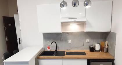 SouvenirAppart Sienkiewicza 3E