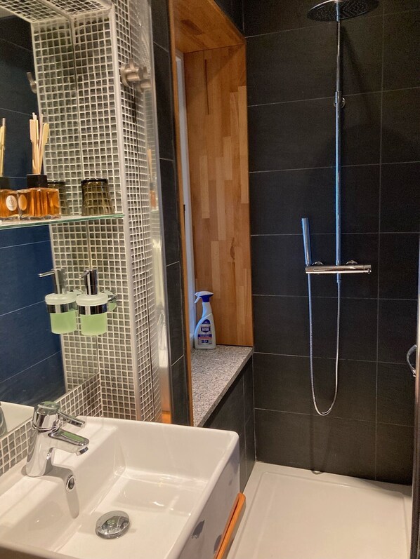 Shower, hair dryer, bathrobes, slippers