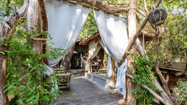 A wooden deck leading to a rustic cabin with a thatched roof, surrounded by trees and greenery. - Chalet "Bangli" with Private Terrace and Wi-Fi (LACANAU)
