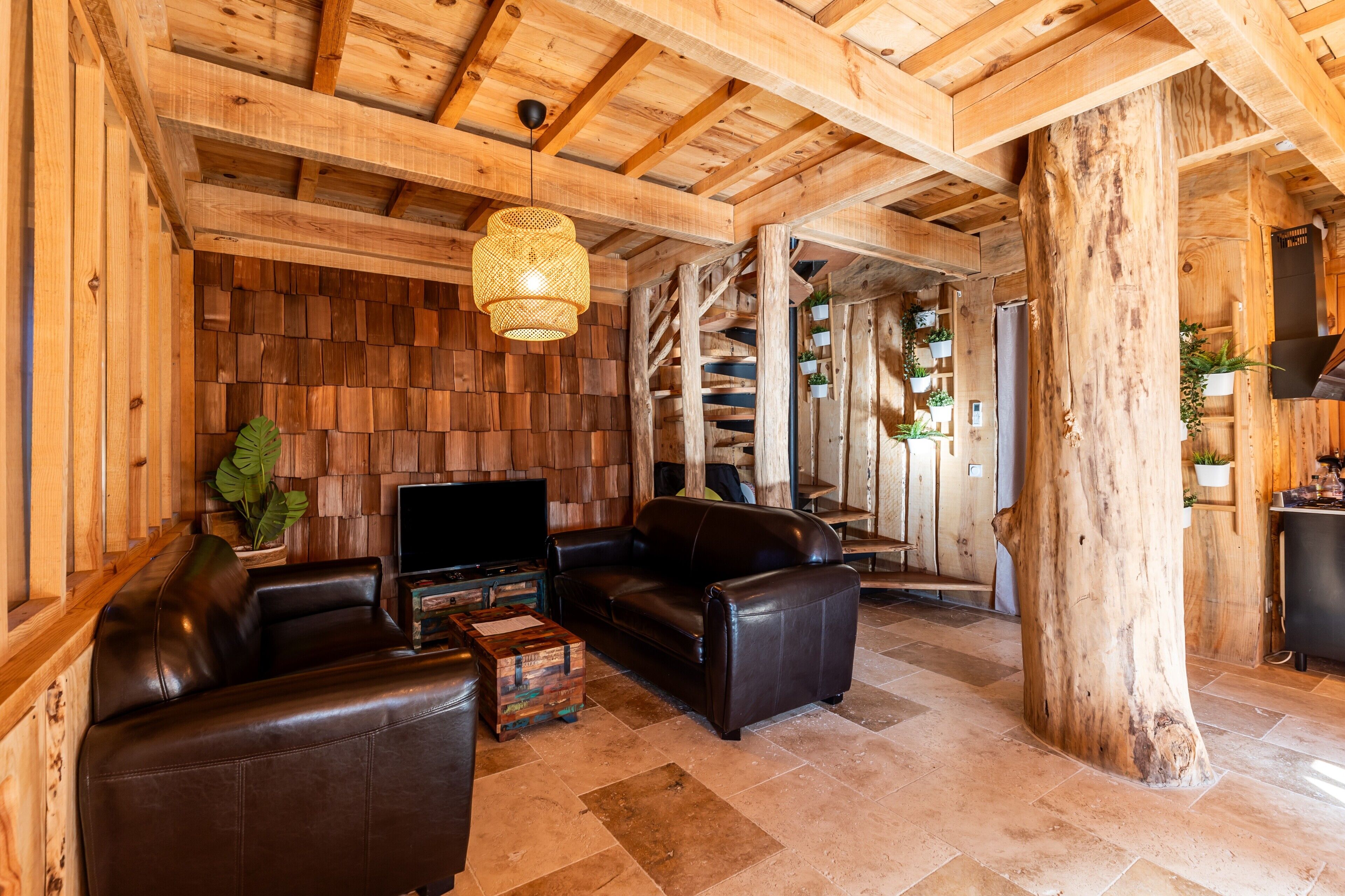 Een houten interieur met een bank, een televisie en een grote boomstam.