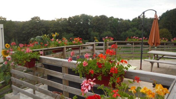 Un jardín en la azotea con barandas de madera, plantas en macetas y mesas de picnic.