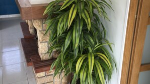 Un rincón con una planta en maceta, un banco de madera y un borde de piedra.