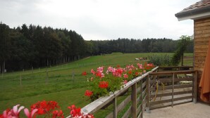 Un balcón de madera con vistas a un campo verde y árboles.