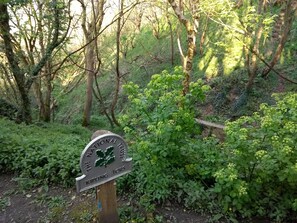 Discover the serene beauty of The National Trust Kipling Tors, situated in a tranquil wooded area with a variety of trees and shrubs.