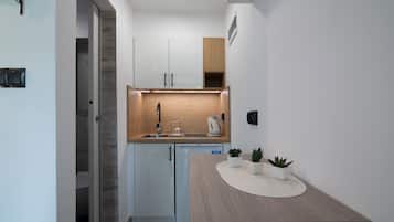 Apartament typu Studio (11) | Einkaeldhúskrókur | Rafmagnsketill