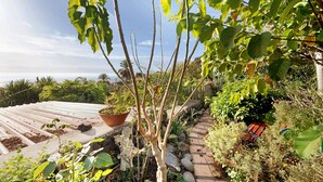 Un jardin avec un chemin de pierres, des plantes en pot et une vue sur le ciel.