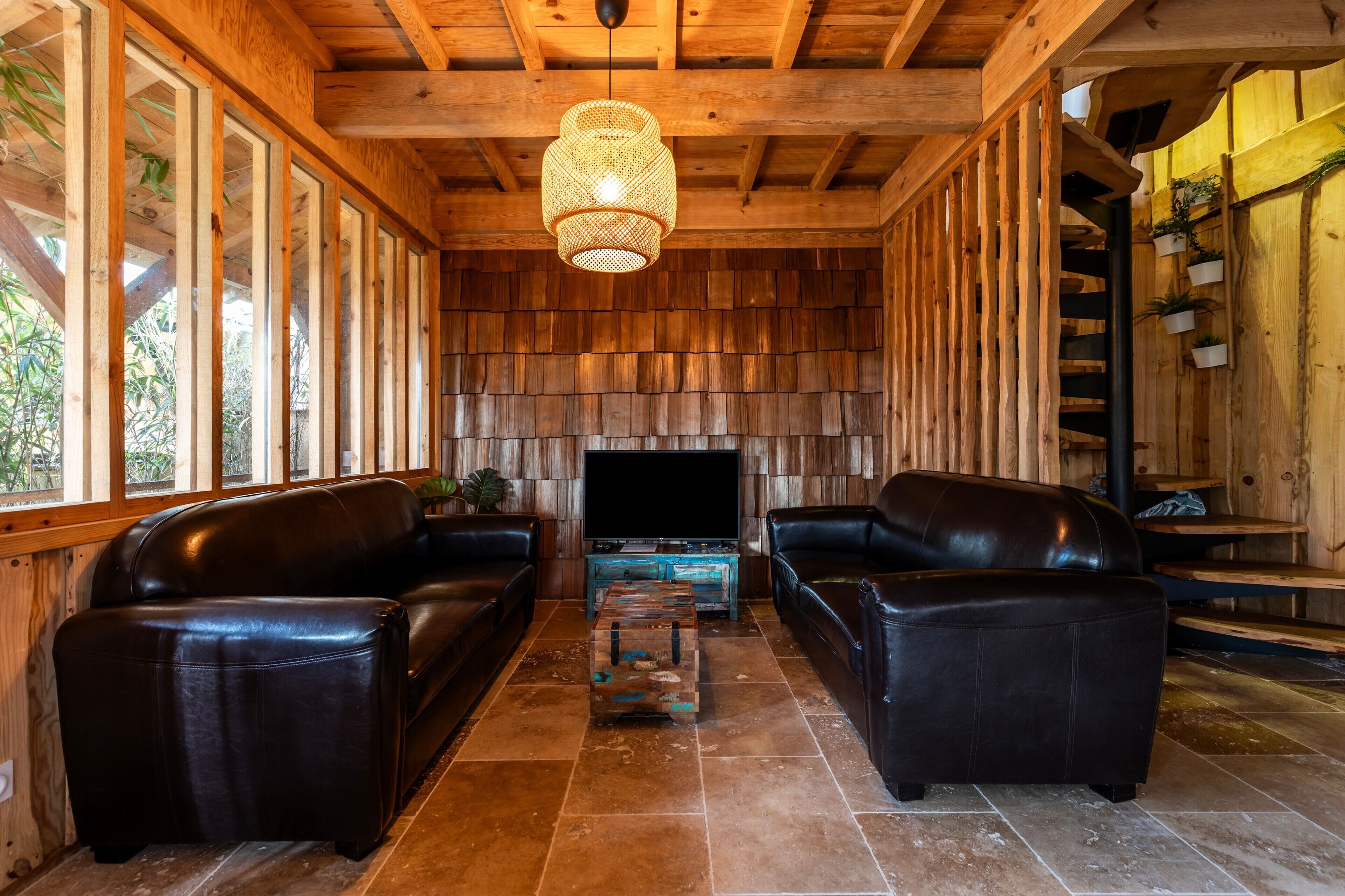 Televisión, reproductor de DVD